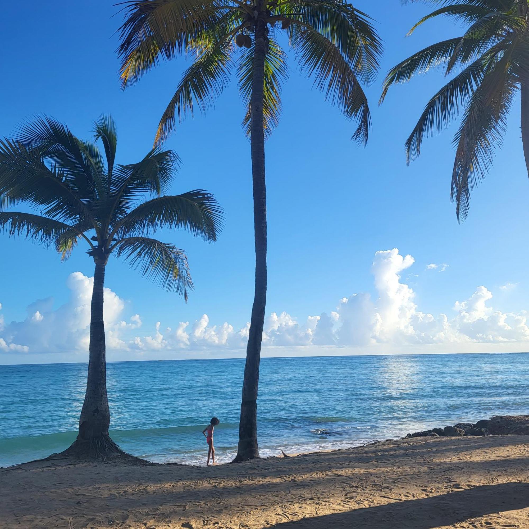 Cozybeach Large 1Bdrapt 50 Steps From Atlantic Ocean Private Street Between Ocean Park & Isla Verde 5 Mins From Airport San Juan Exteriér fotografie