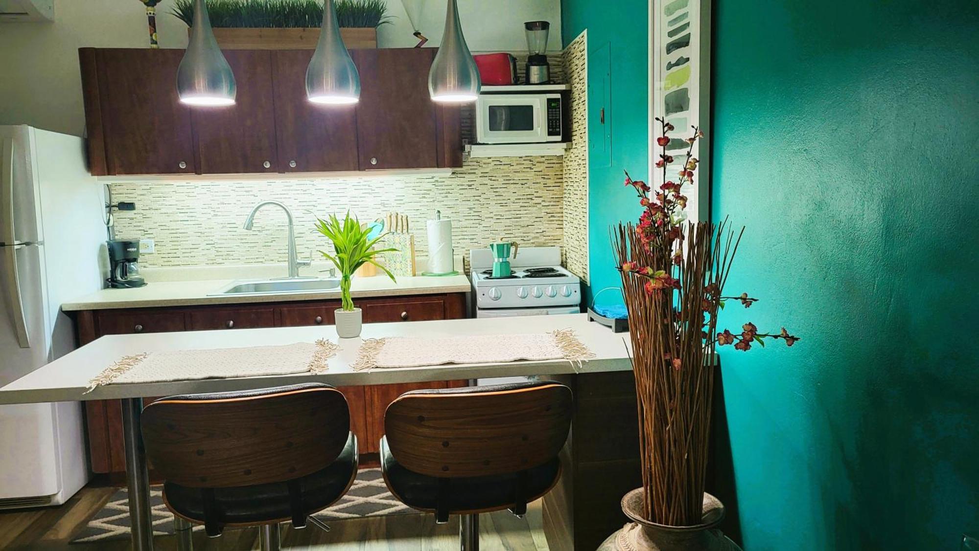 Cozybeach Large 1Bdrapt 50 Steps From Atlantic Ocean Private Street Between Ocean Park & Isla Verde 5 Mins From Airport San Juan Exteriér fotografie